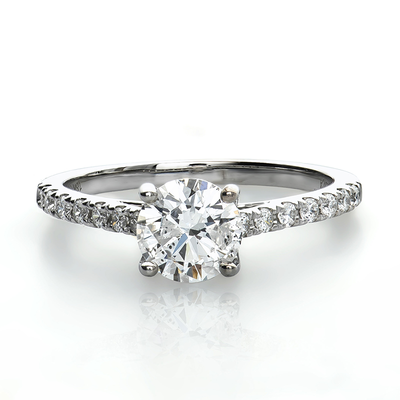 No image available for this item.